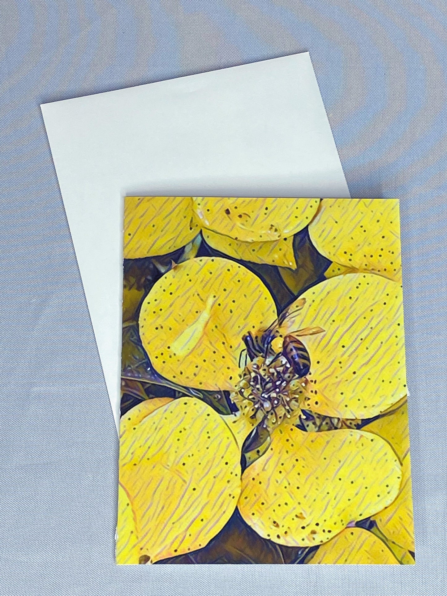 Bee Notecards: Glossy Nature Photo Cards, Set of 6