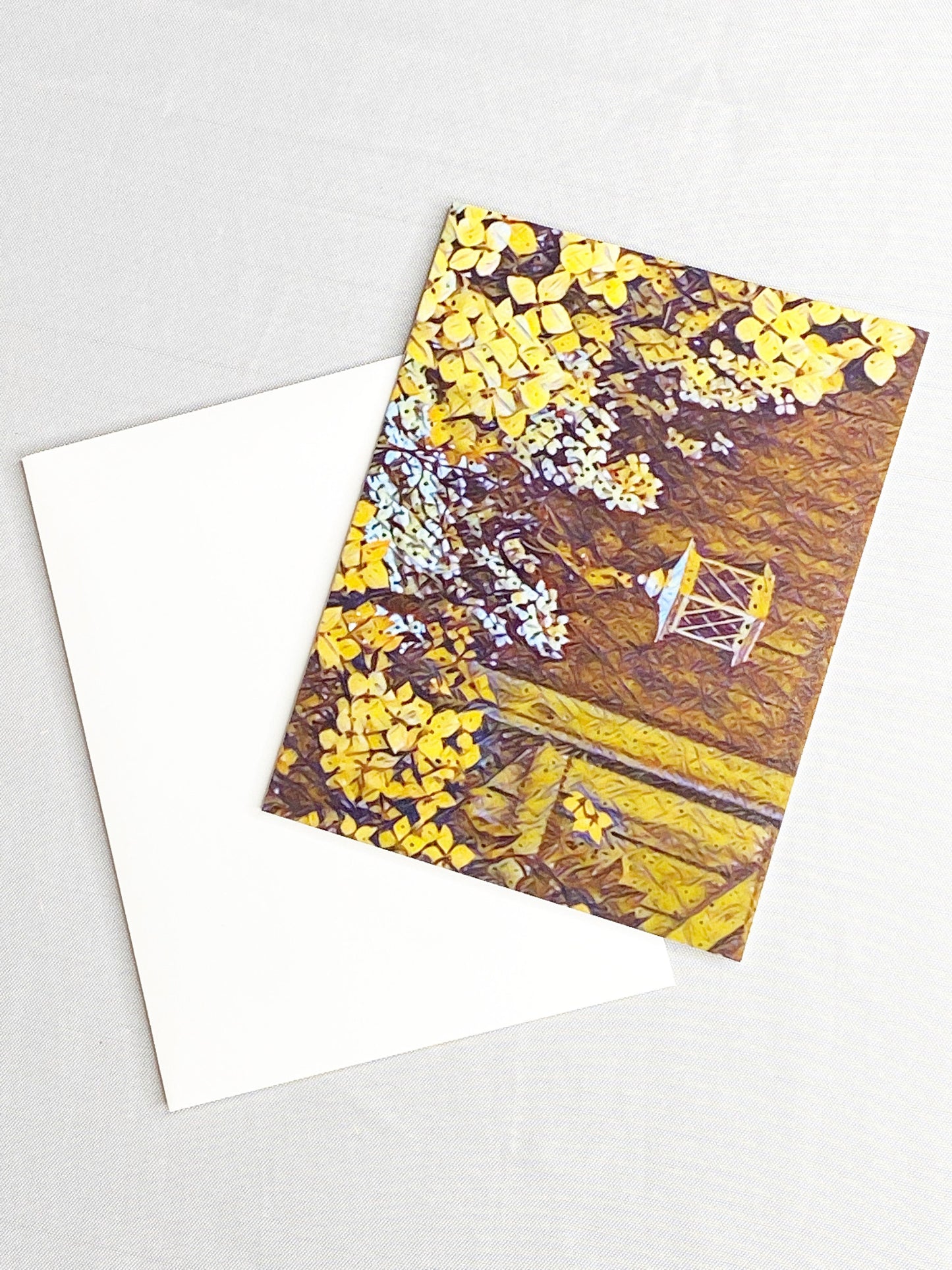 Nature Photography Notecard Set: Blank Greeting Cards with Envelopes