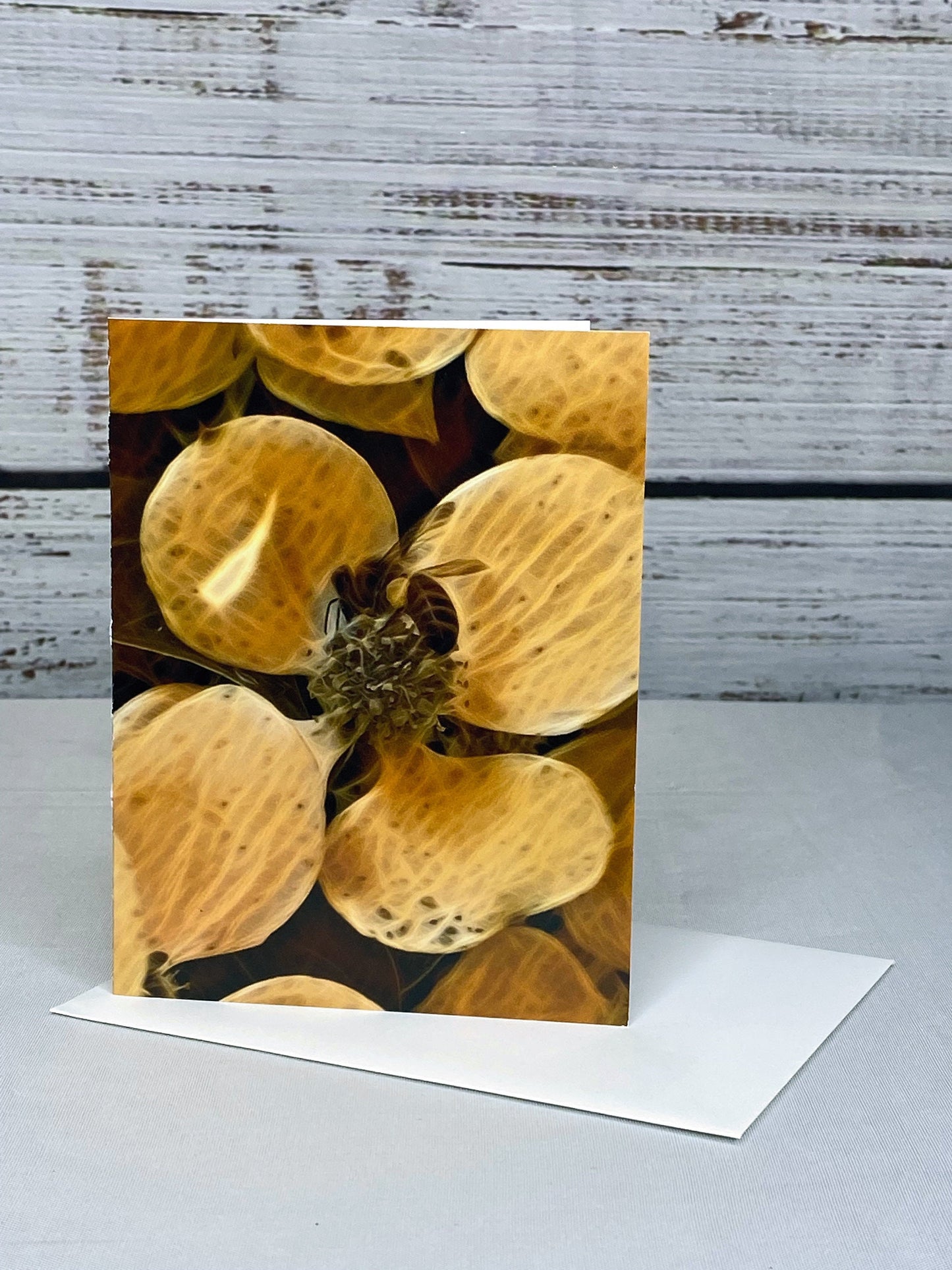 Bee Floral Notecard Set: Glossy Greeting Cards with Envelopes