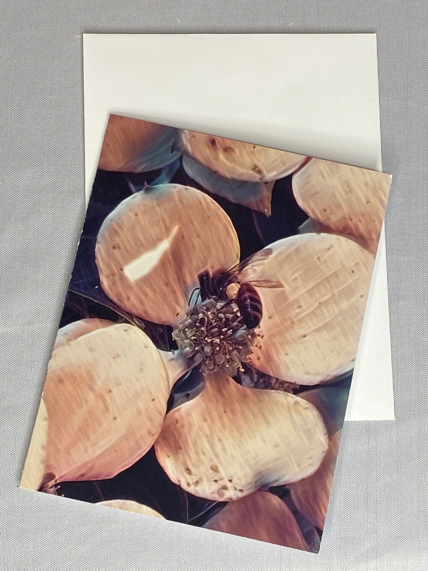 Bee Photo Notecards: Blank Stationery Set of 6