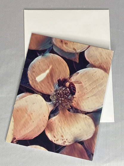 Bee Photo Notecards: Blank Stationery Set of 6