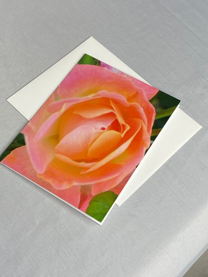 Floral Notecards: Peach Rose Photo, Blank Inside (Set of 6)