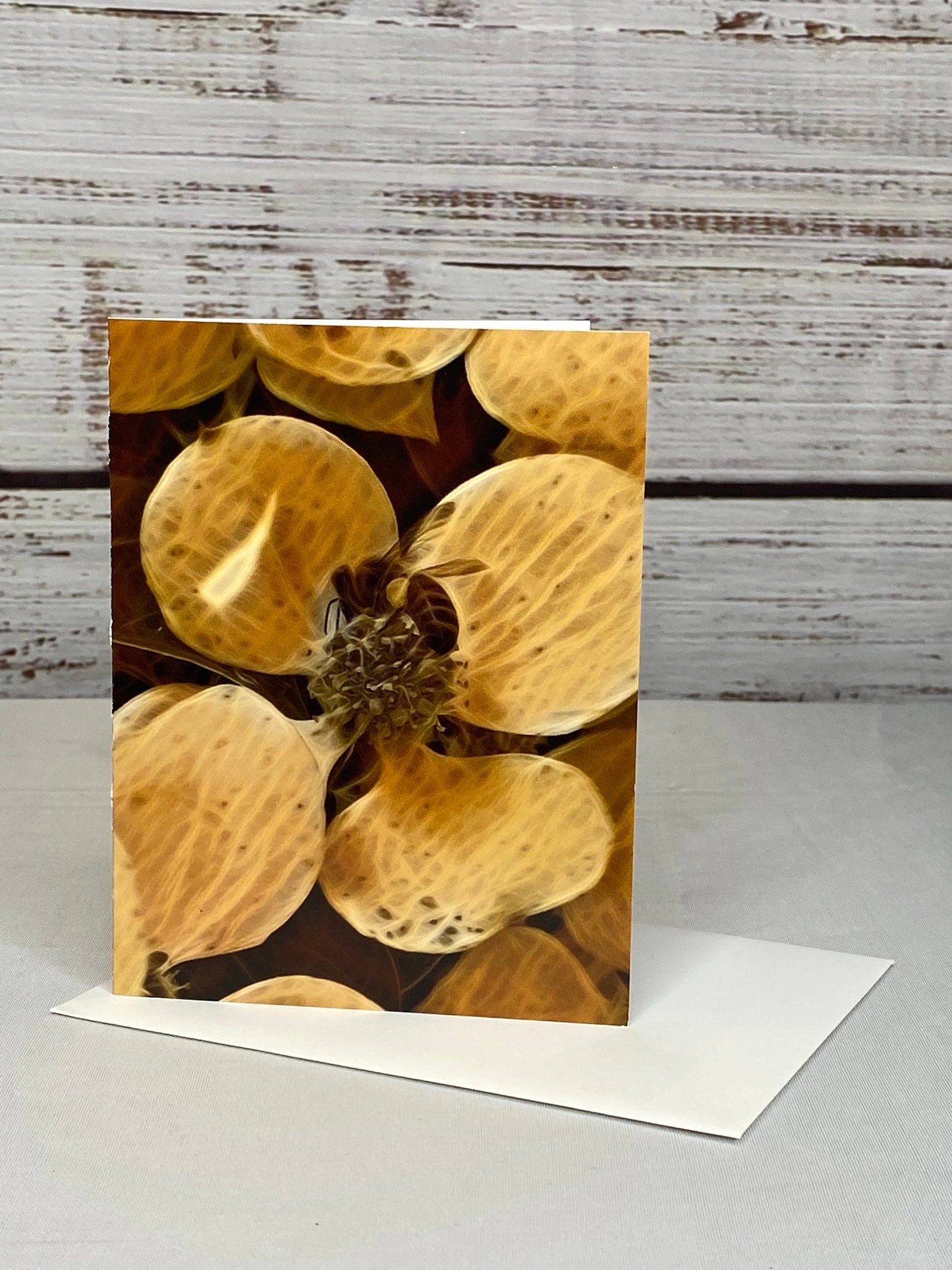 Bee Floral Notecard Set: Glossy Greeting Cards with Envelopes