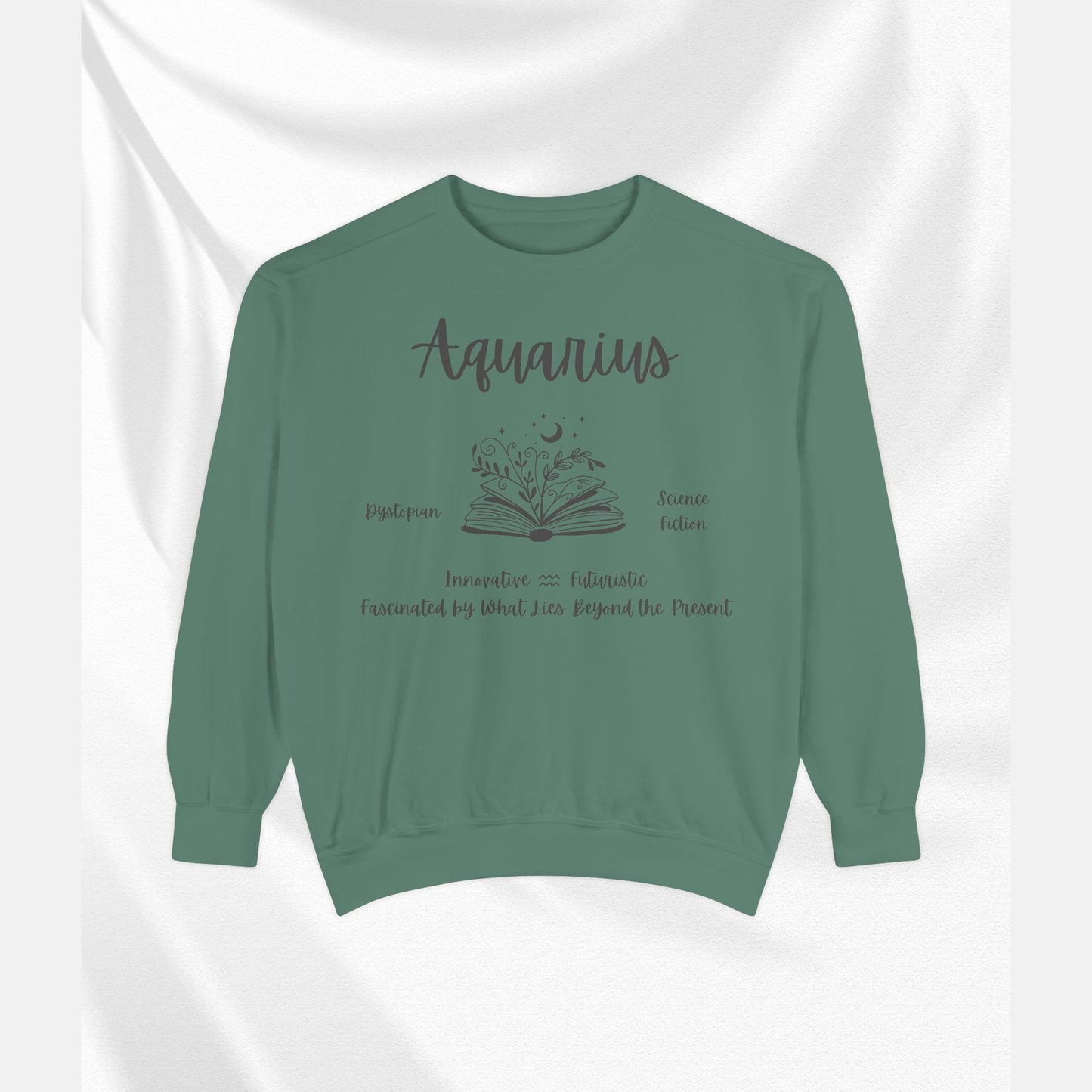 Aquarius Book Lover Sweatshirt, Zodiac Graphic Top, Literary Gift, Astrology Pullover,