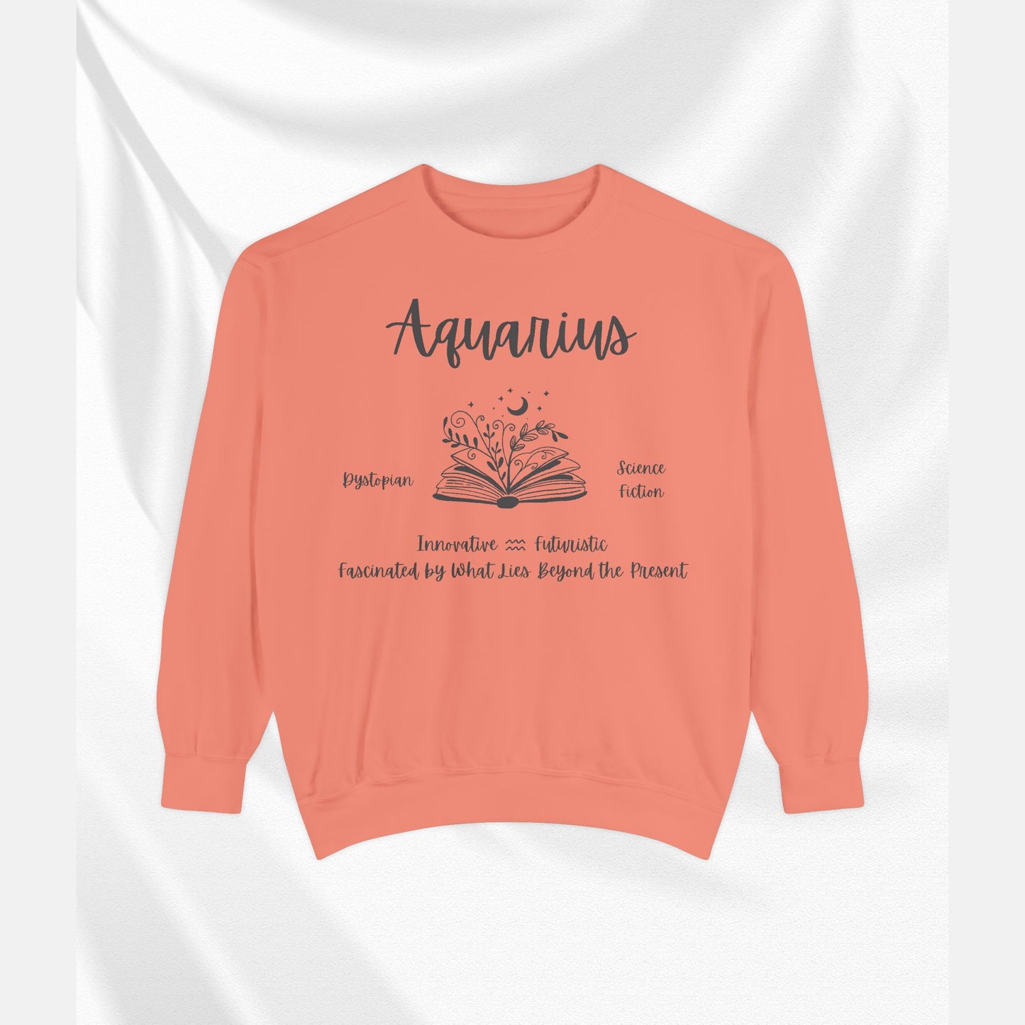 Aquarius Book Lover Sweatshirt, Zodiac Graphic Top, Literary Gift, Astrology Pullover,