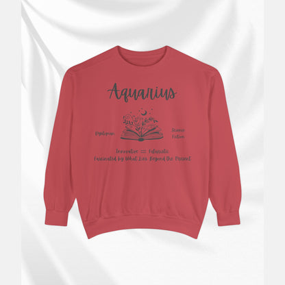 Aquarius Book Lover Sweatshirt, Zodiac Graphic Top, Literary Gift, Astrology Pullover,