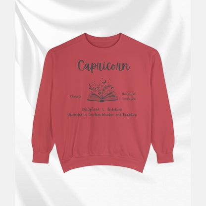 Capricorn Book Lover Sweatshirt, Capricorn zodiac long sleeve sweatshirt