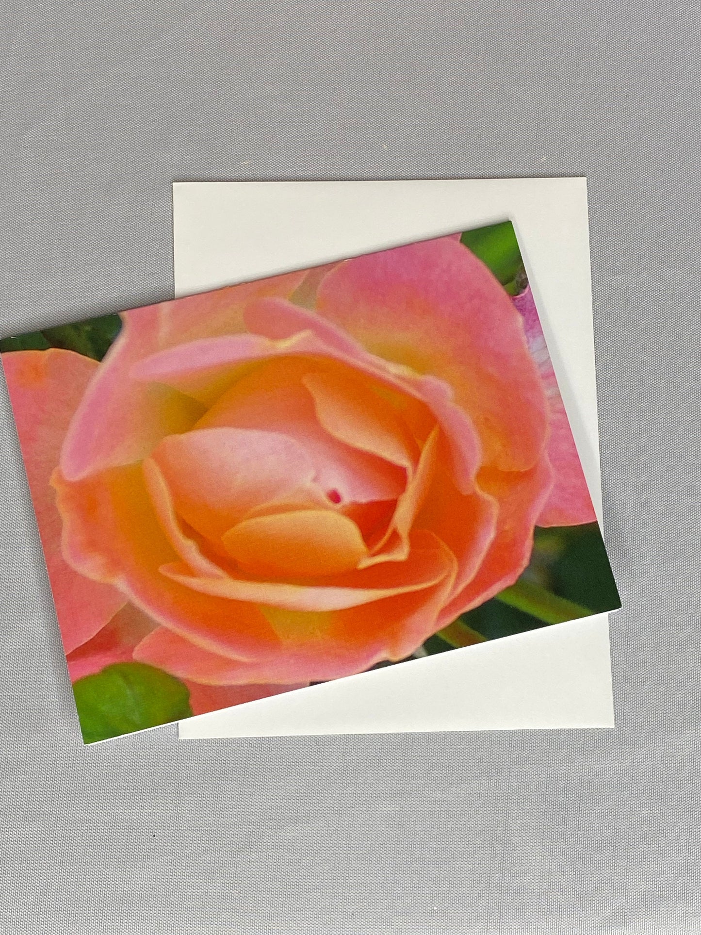 Floral Notecards: Peach Rose Photo, Blank Inside (Set of 6)