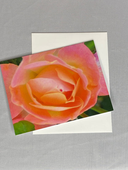 Floral Notecards: Peach Rose Photo, Blank Inside (Set of 6)