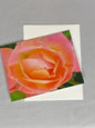 Floral Notecards: Peach Rose Photo, Blank Inside (Set of 6)