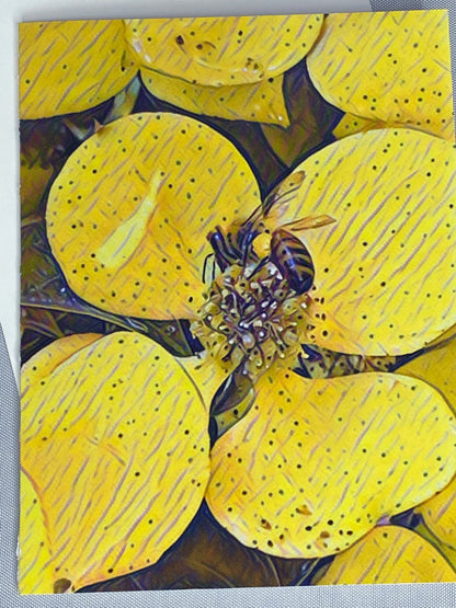 Bee Notecards: Glossy Nature Photo Cards, Set of 6