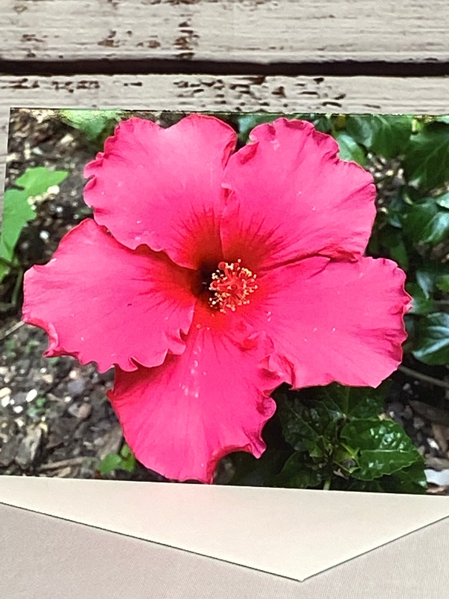 Hibiscus Floral Notecards: Blank Stationery Set