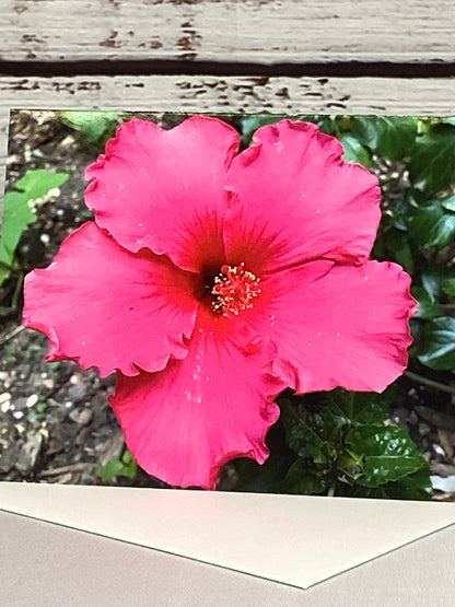 Hibiscus Floral Notecards: Blank Stationery Set