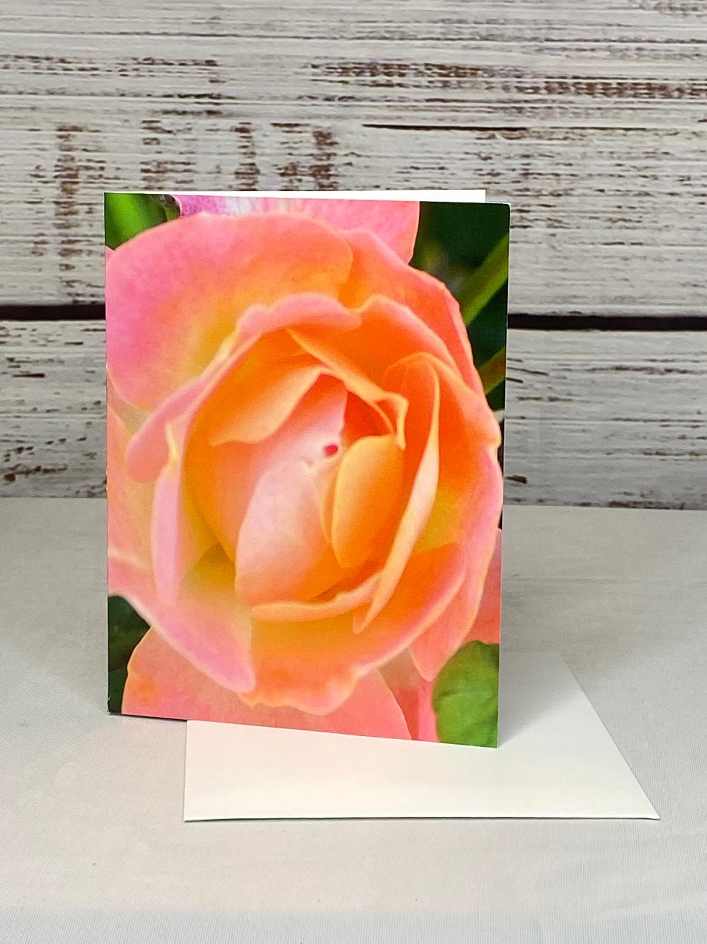 Floral Notecards: Peach Rose Photo, Blank Inside (Set of 6)