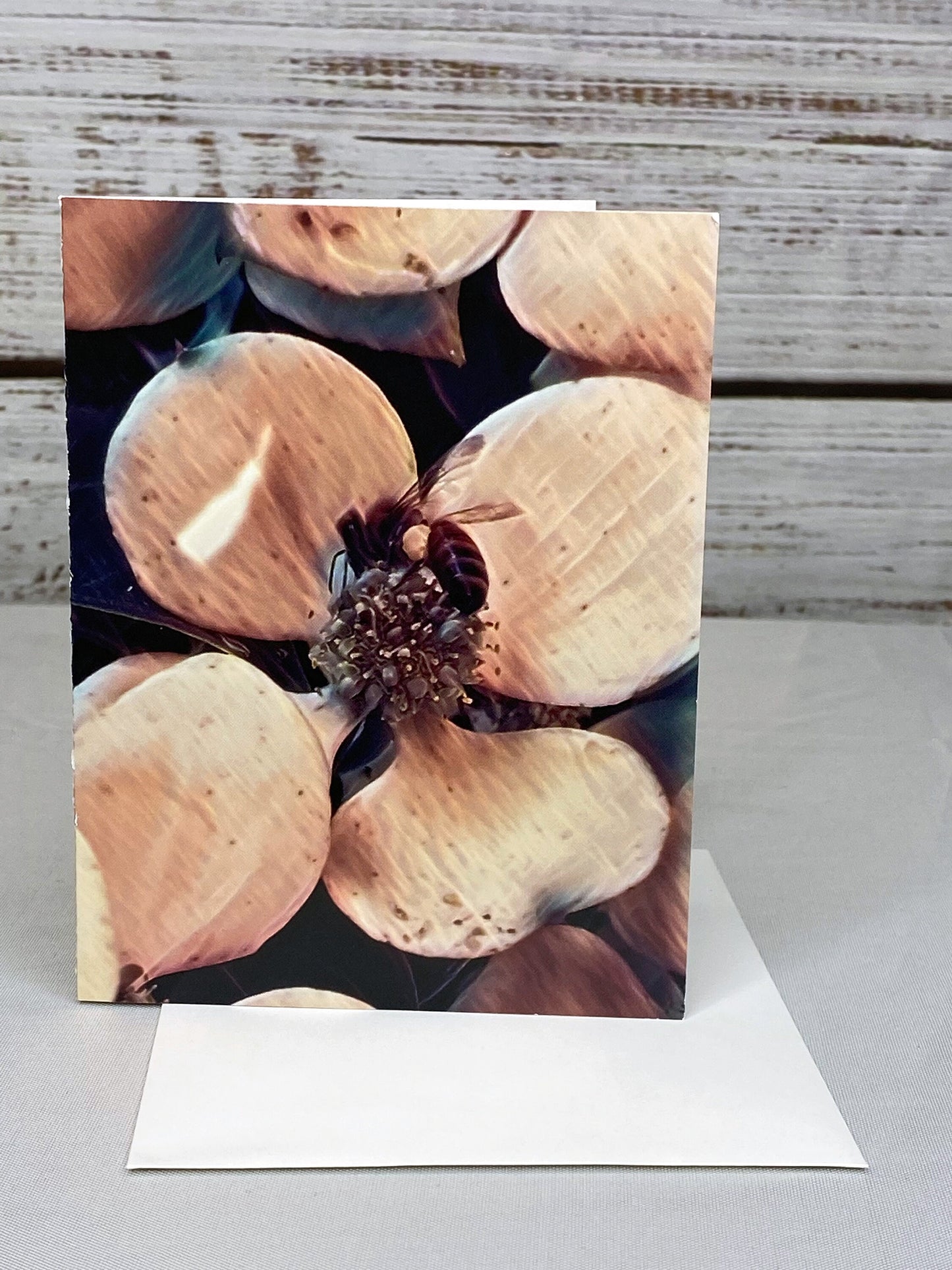 Bee Photo Notecards: Blank Stationery Set of 6