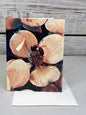 Bee Photo Notecards: Blank Stationery Set of 6