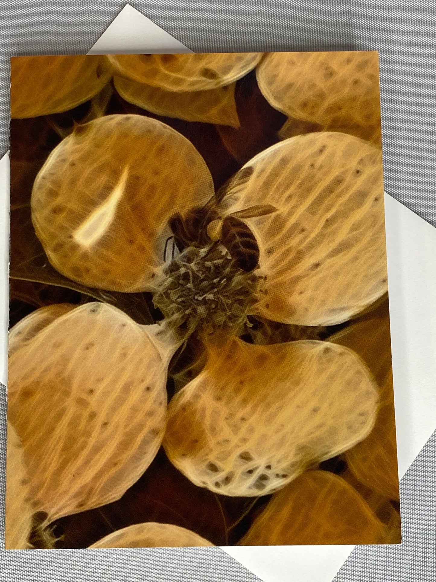 Bee Floral Notecard Set: Glossy Greeting Cards with Envelopes