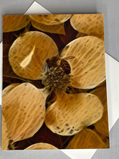 Bee Floral Notecard Set: Glossy Greeting Cards with Envelopes