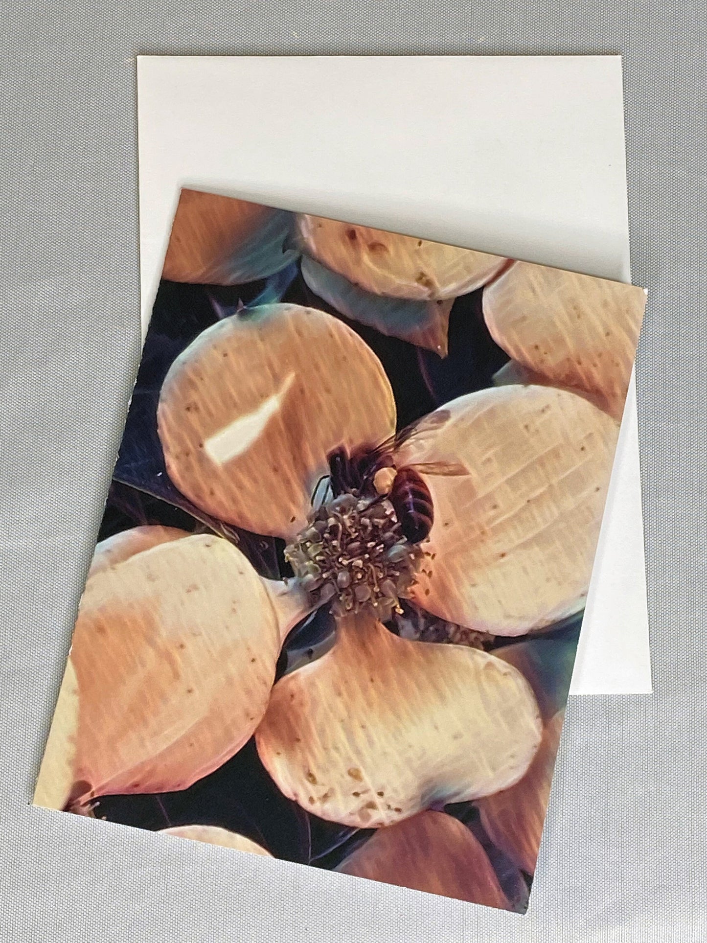 Bee Photo Notecards: Blank Stationery Set of 6