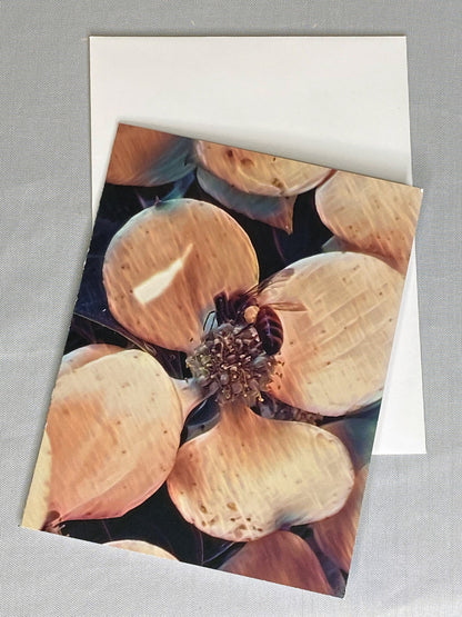 Bee Photo Notecards: Blank Stationery Set of 6