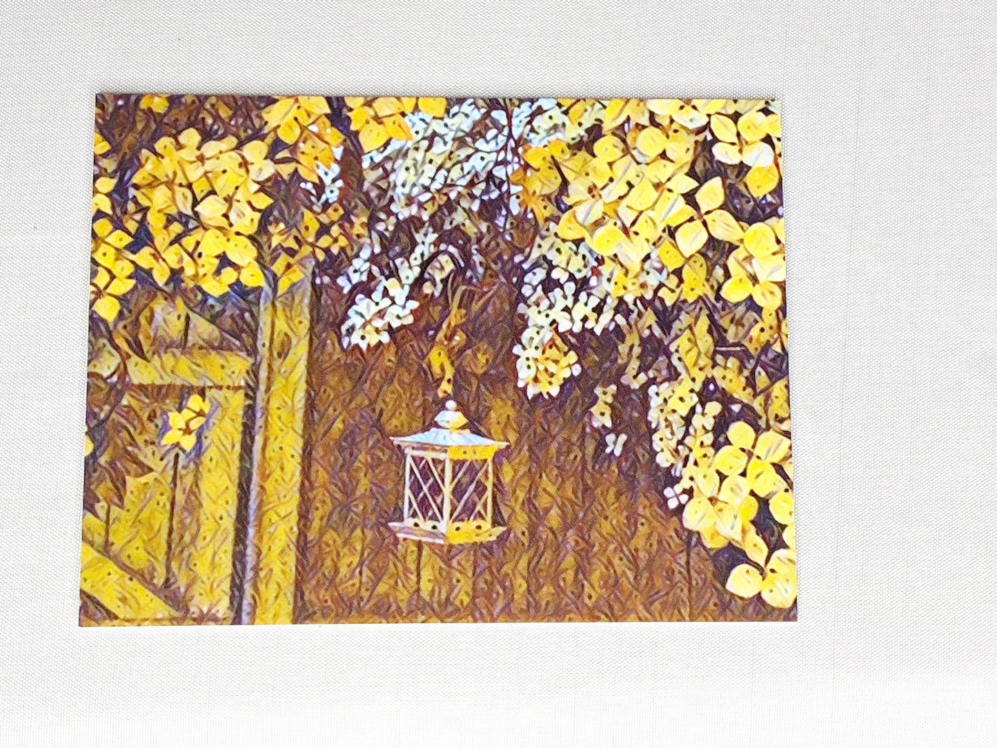 Nature Photography Notecard Set: Blank Greeting Cards with Envelopes