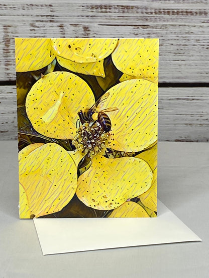 Bee Notecards: Glossy Nature Photo Cards, Set of 6