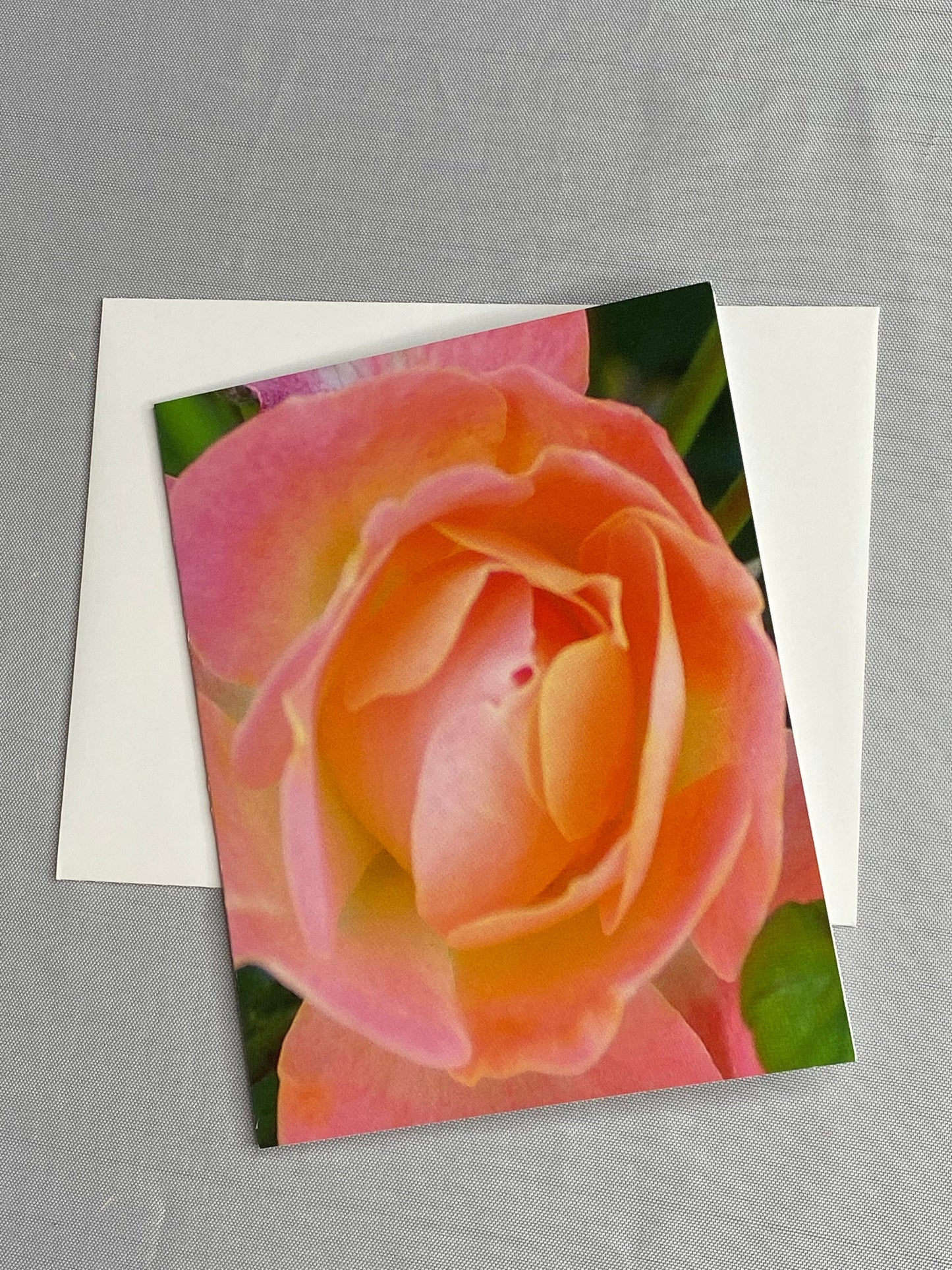 Floral Notecards: Peach Rose Photo, Blank Inside (Set of 6)