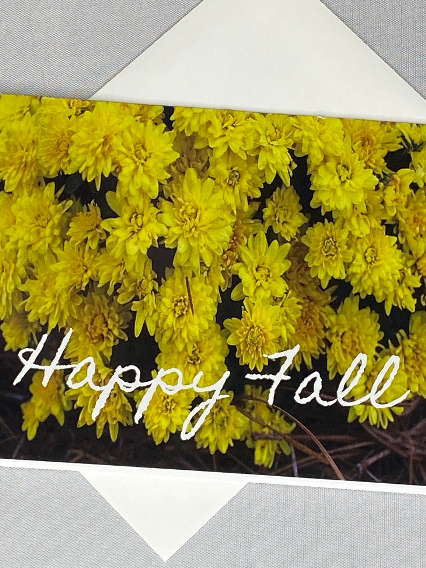 Floral Fall Notecards: Blank Inside, Set of 6