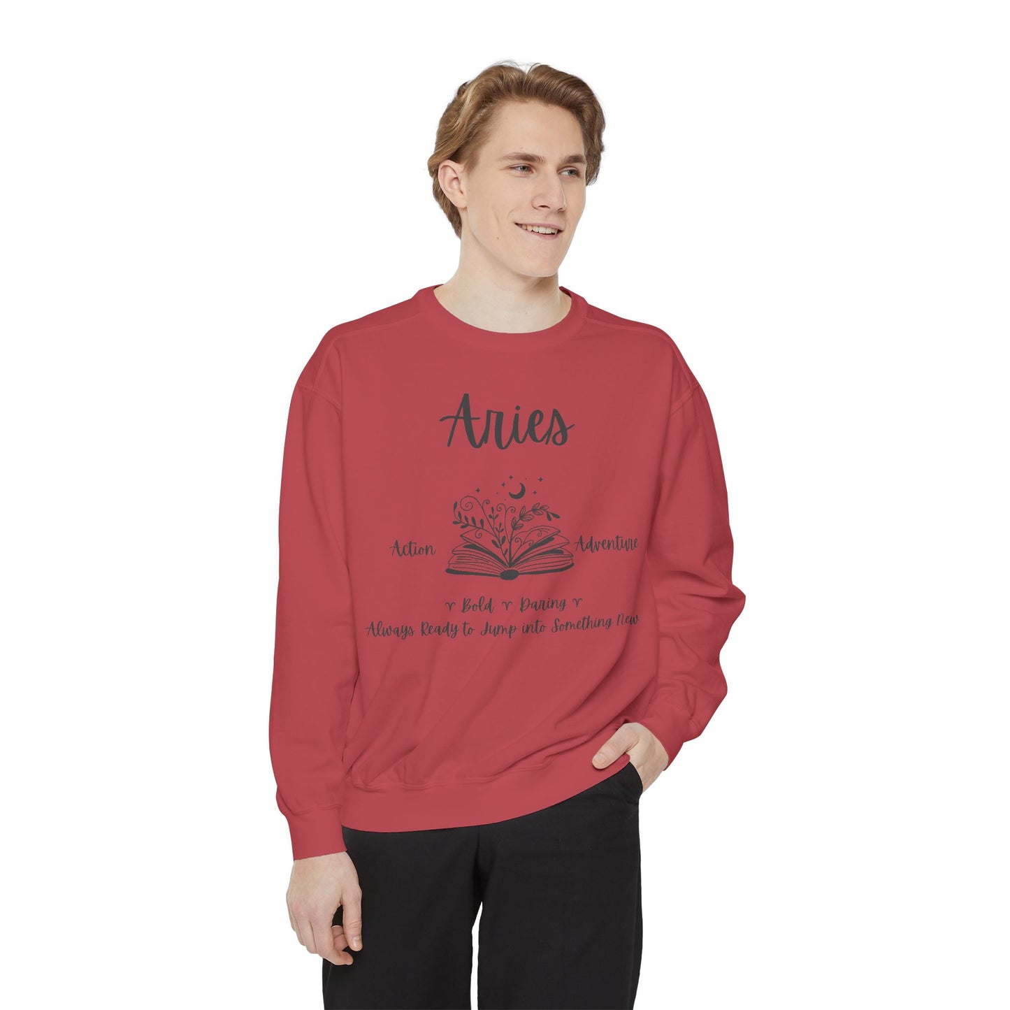 Aries Zodiac Sweatshirt, Cozy Astrology Gift, Horoscope Apparel, Astrology Sweatshirt, Unisex Gifts for Astrologers
