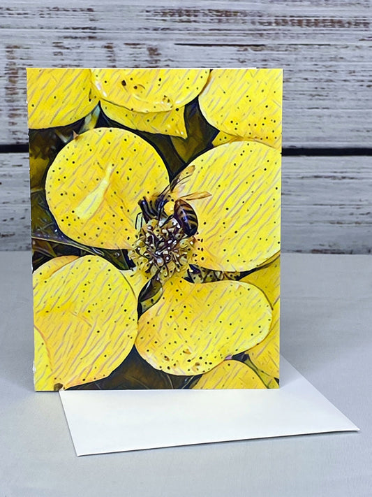 Bee Notecards: Glossy Nature Photo Cards, Set of 6