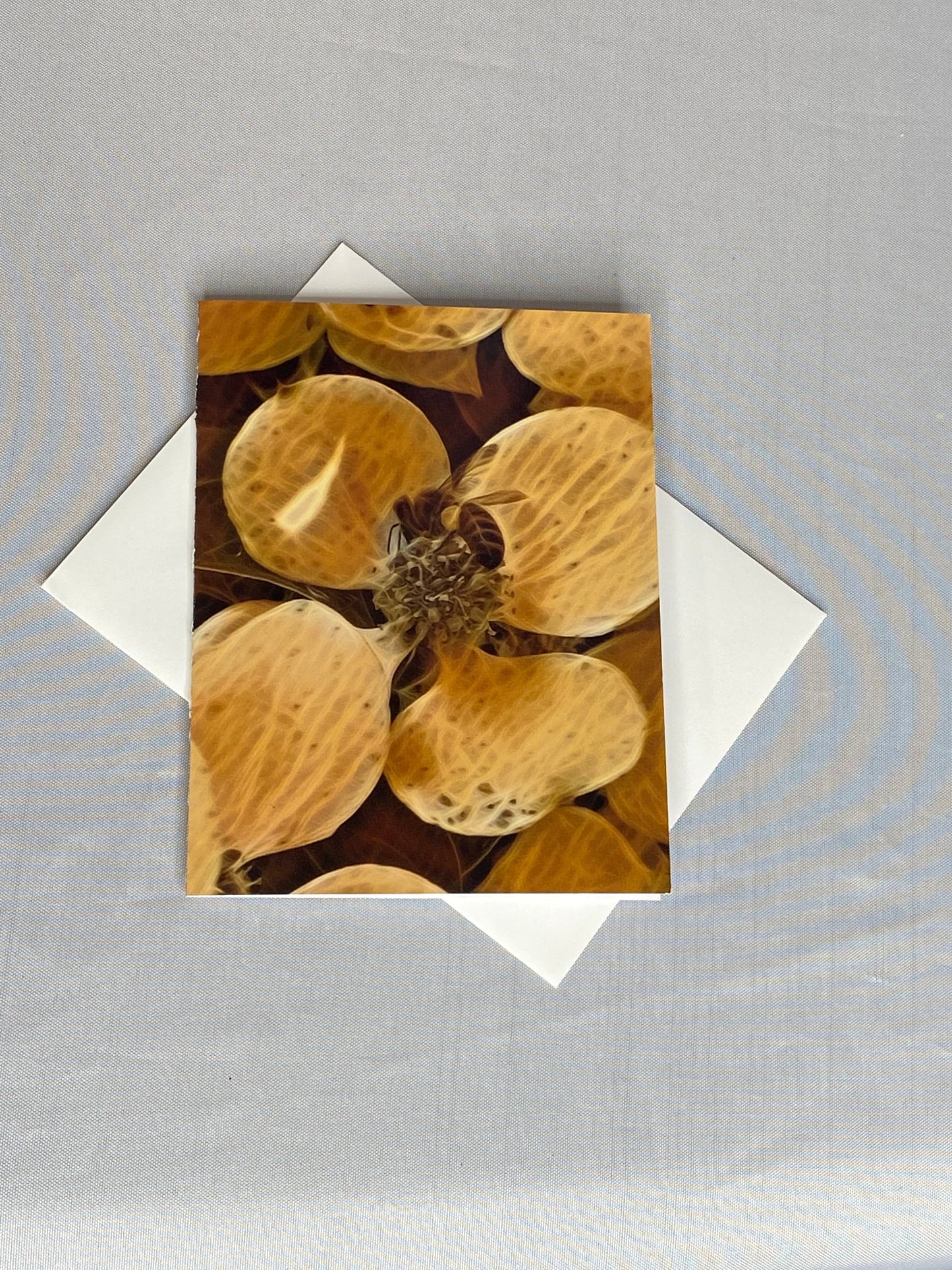 Bee Floral Notecard Set: Glossy Greeting Cards with Envelopes