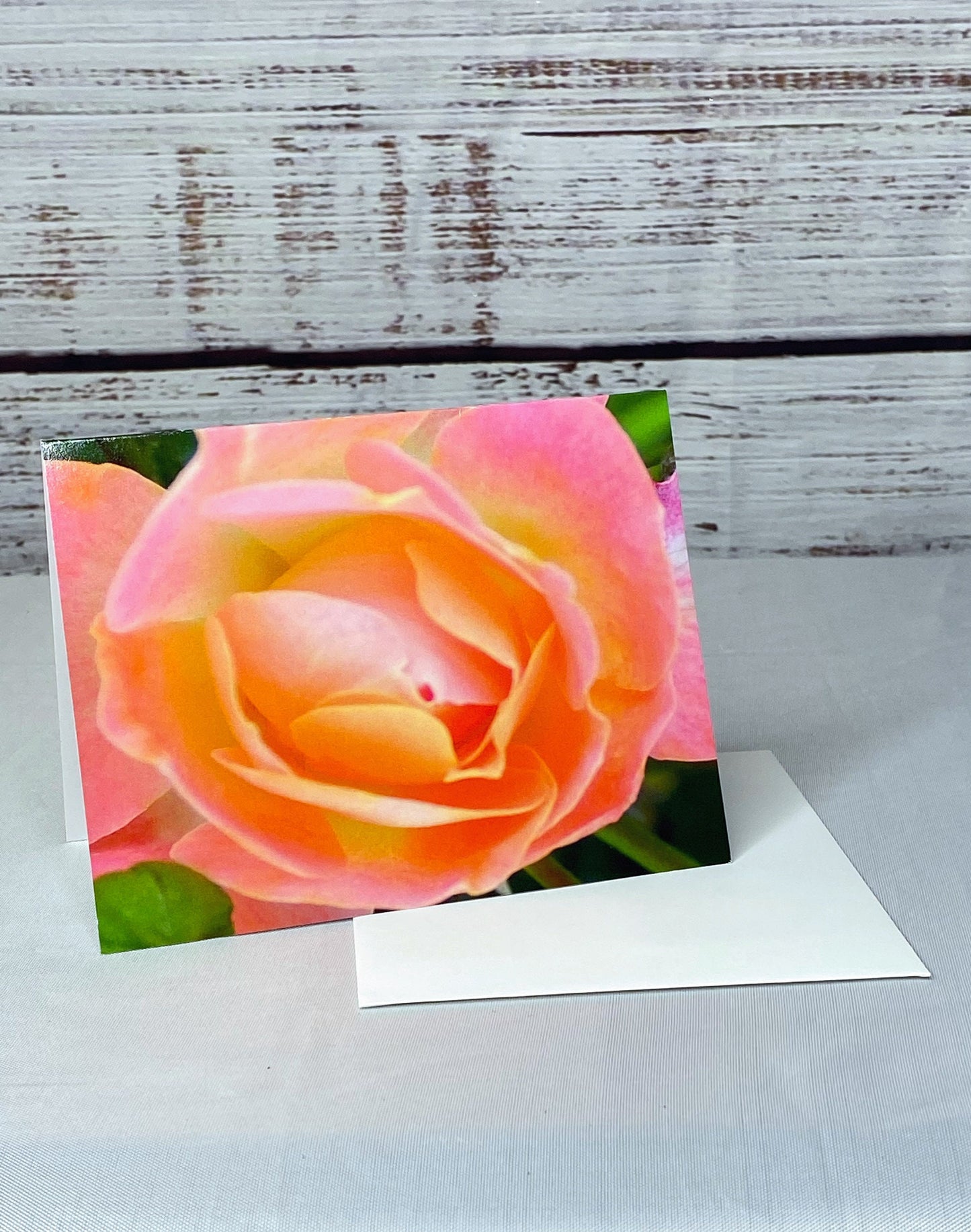 Floral Notecards: Peach Rose Photo, Blank Inside (Set of 6)