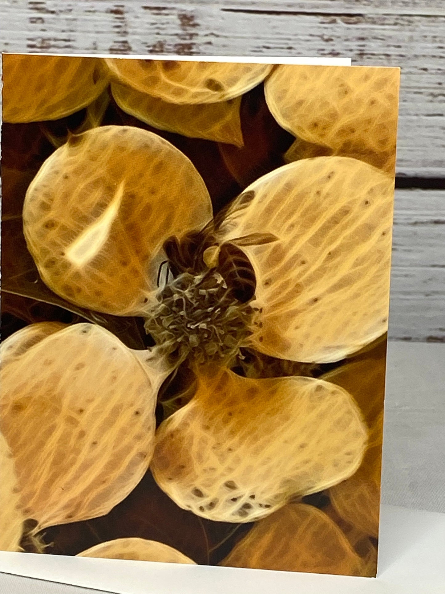 Bee Floral Notecard Set: Glossy Greeting Cards with Envelopes