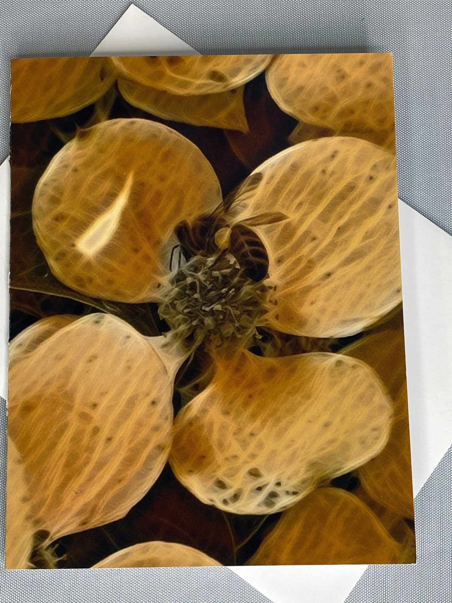 Bee Floral Notecard Set: Glossy Greeting Cards with Envelopes