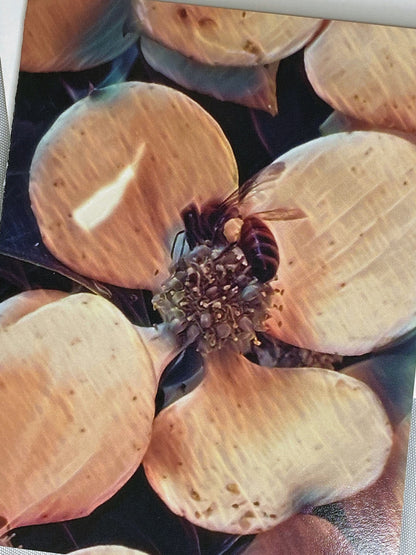 Bee Photo Notecards: Blank Stationery Set of 6