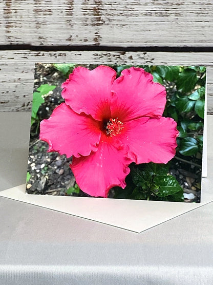 Hibiscus Floral Notecards: Blank Stationery Set
