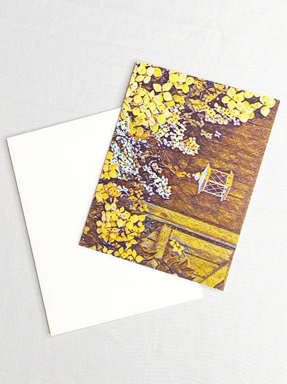 Nature Photography Notecard Set: Blank Greeting Cards with Envelopes