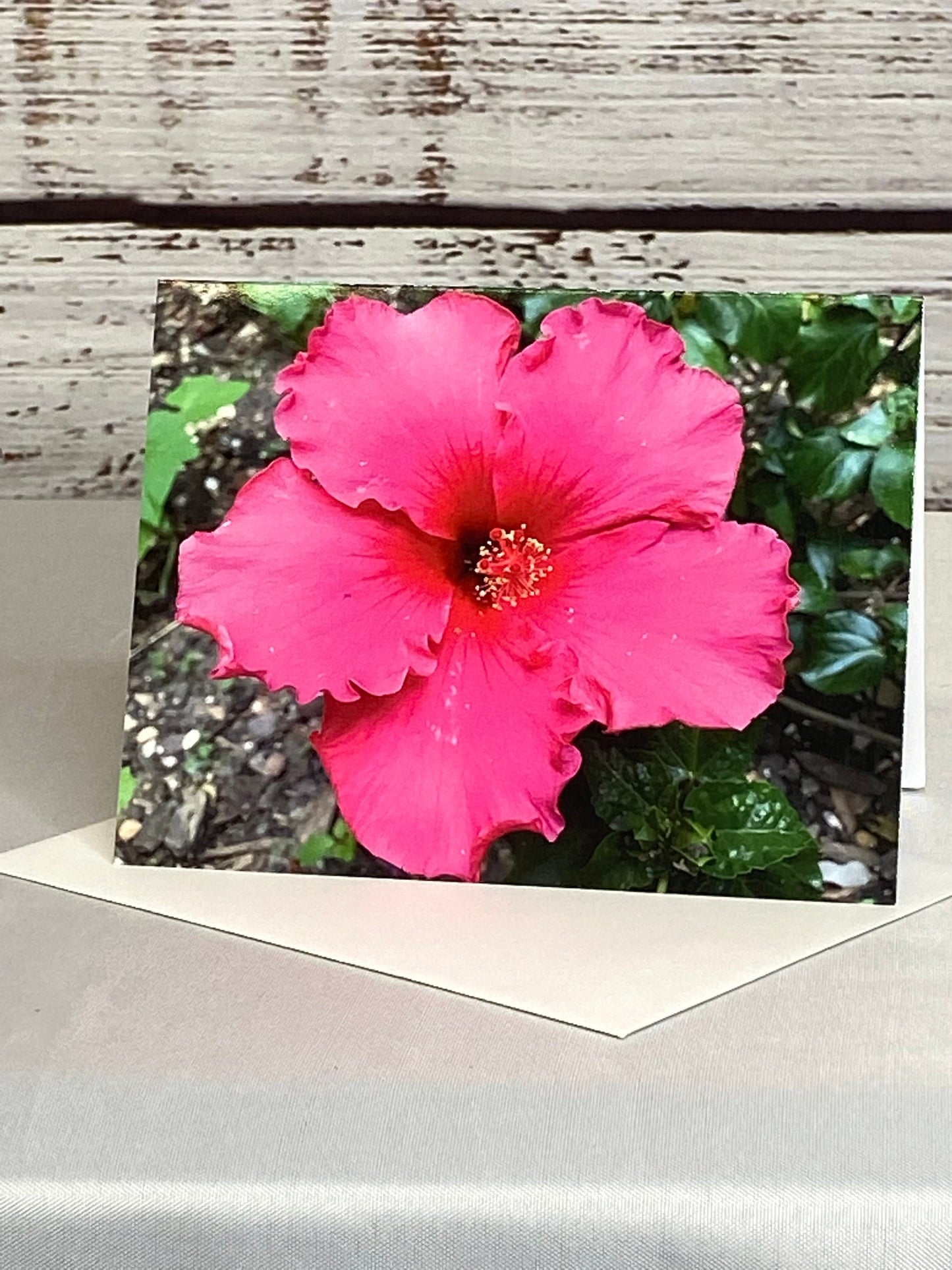 Hibiscus Floral Notecards: Blank Stationery Set