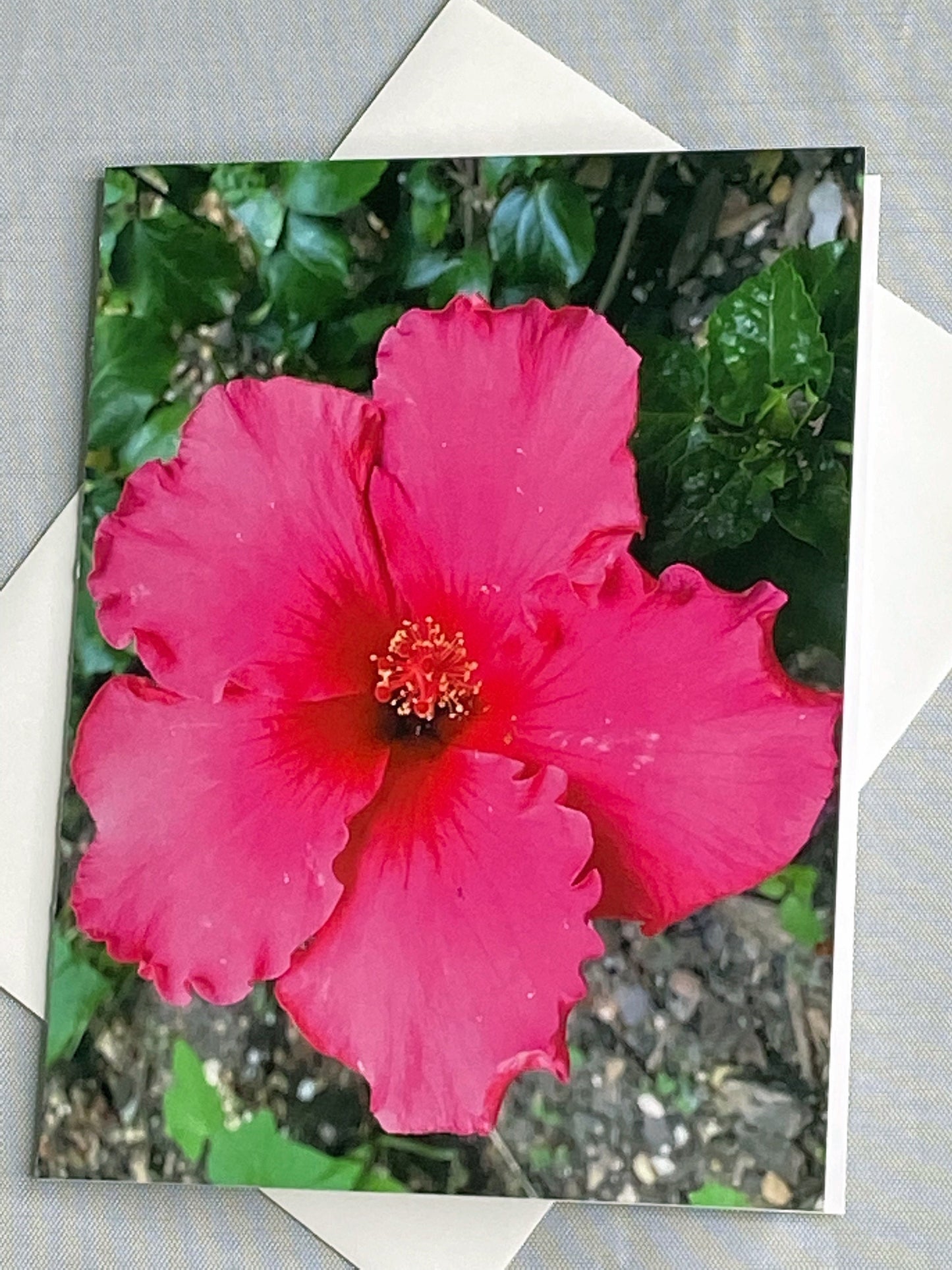 Hibiscus Floral Notecards: Blank Stationery Set