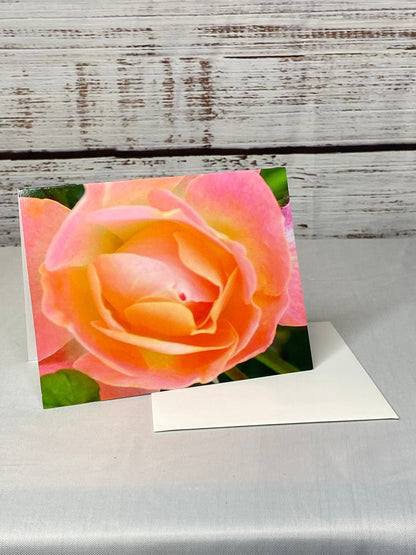Floral Notecards: Peach Rose Photo, Blank Inside (Set of 6)