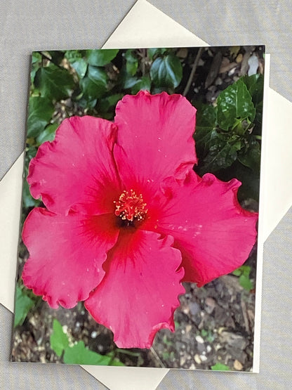 Hibiscus Floral Notecards: Blank Stationery Set